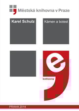 Kámen a bolest book cover