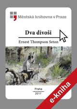 Dva divoši book cover