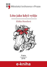 Léto jako když vyšije book cover