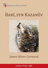Barí, syn Kazanův book cover