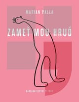 Zameť mou hruď book cover