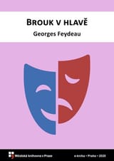 Brouk v hlavě book cover