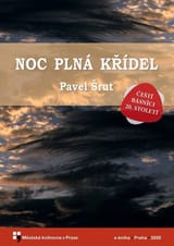 Noc plná křídel book cover