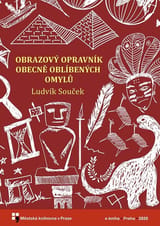 Obrazový opravník obecně oblíbených omylů book cover