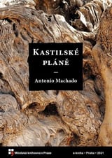 Kastilské pláně book cover