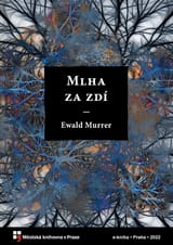 Mlha za zdí book cover