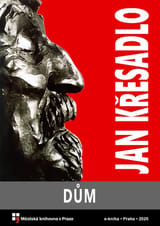 Dům book cover