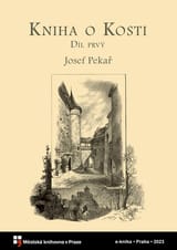 Kniha o Kosti book cover