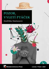 Pozor, vyletí ptáček book cover