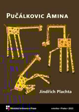 Pučálkovic Amina book cover