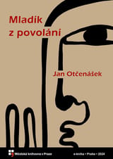 Mladík z povolání book cover