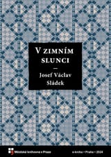 V zimním slunci book cover