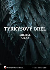 Tyrkysový orel book cover