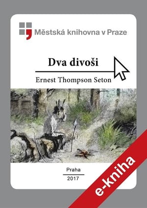 Dva divoši cover