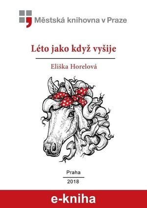 Léto jako když vyšije cover
