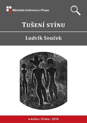 Tušení stínu cover