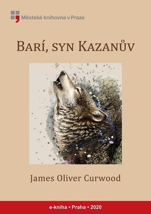 Barí, syn Kazanův cover