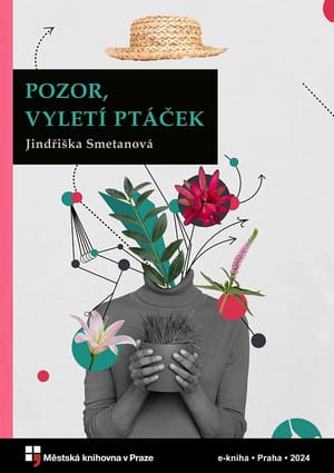 Pozor, vyletí ptáček cover