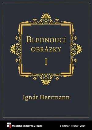 Blednoucí obrázky cover