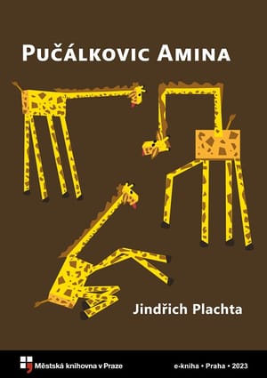 Pučálkovic Amina cover