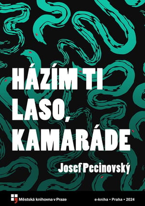 Házím ti laso, kamaráde cover