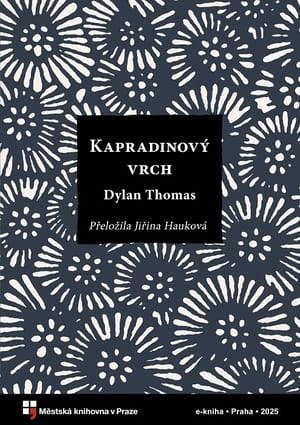 Kapradinový vrch cover