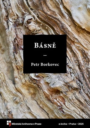 Básně cover